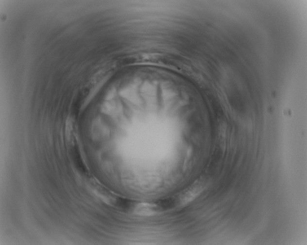 X0000083040222200702231938