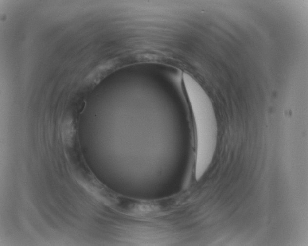 X0000083040223200702231938