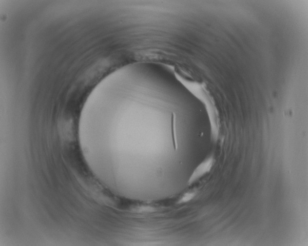 X0000083040224200702231938