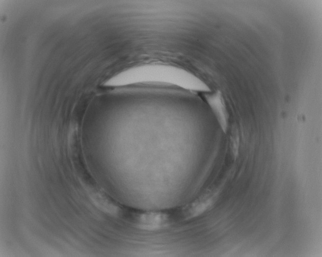 X0000083040225200702231938