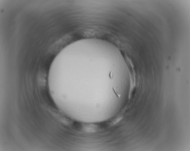 X0000083040226200702231938