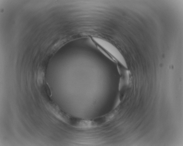 X0000083040227200702231938