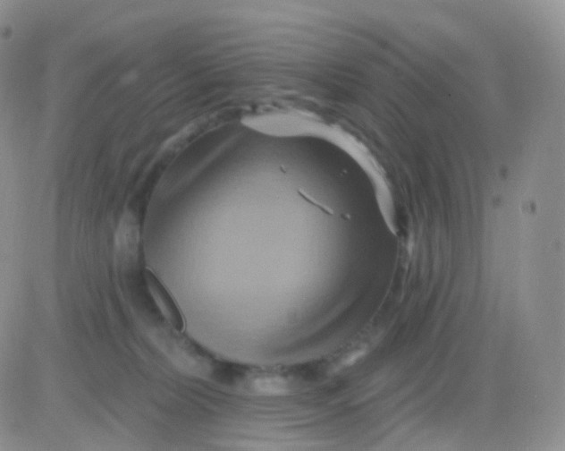 X0000083040228200702231938