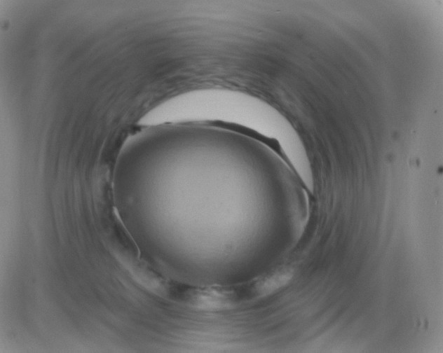 X0000083040229200702231938