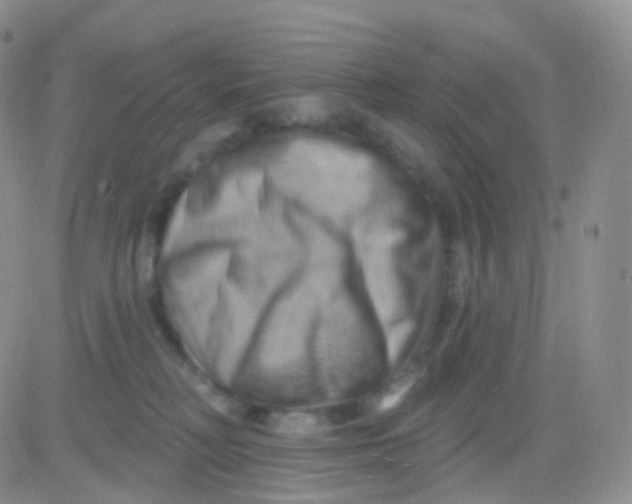 X0000083040230200702231938