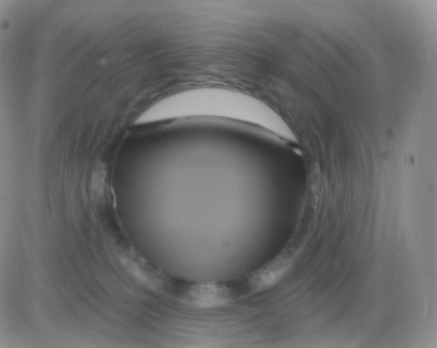 X0000083040231200702231938