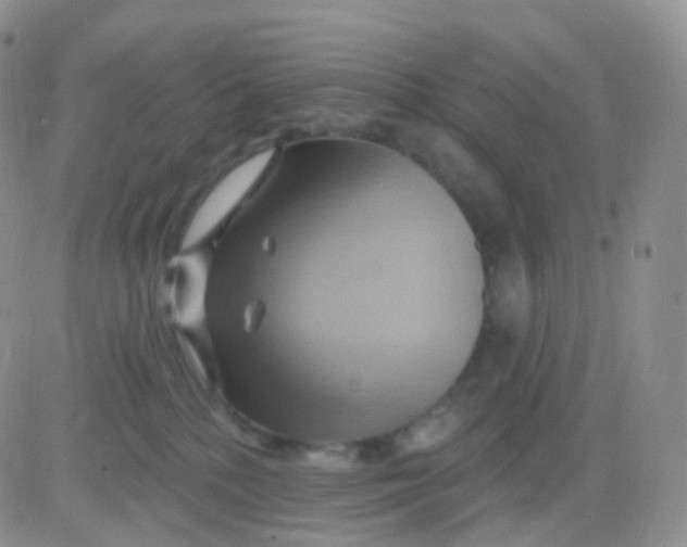 X0000083040232200702231938