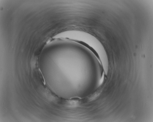 X0000083040233200702231938