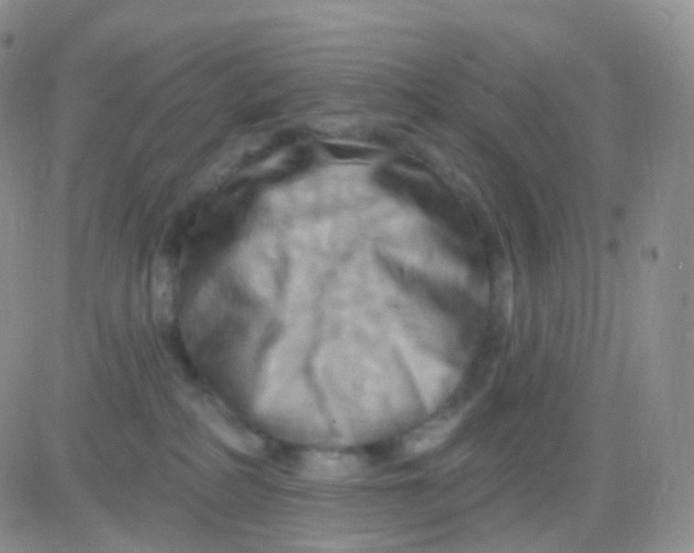 X0000083040234200702231938