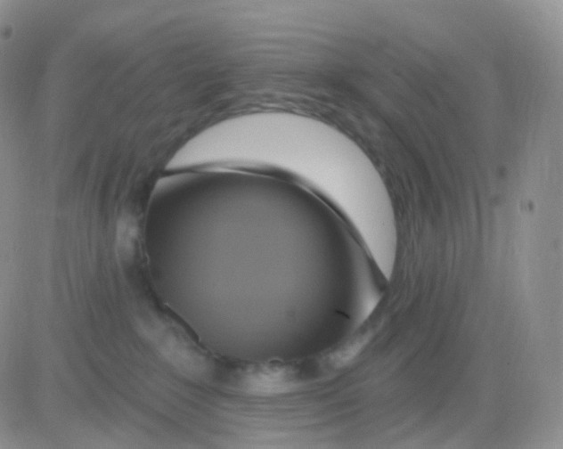 X0000083040235200702231938