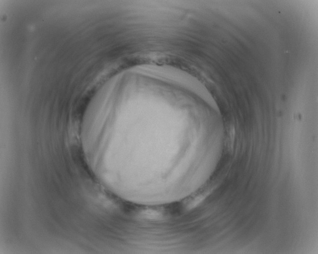 X0000083040236200702231938