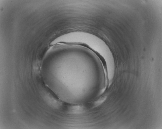 X0000083040237200702231938