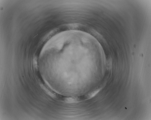 X0000083040238200702231937