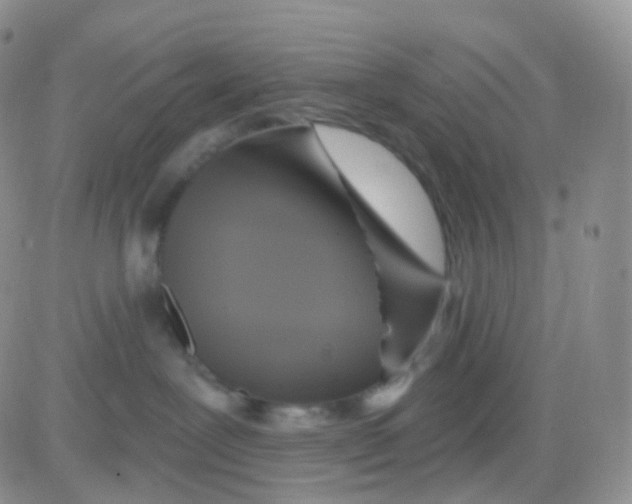 X0000083040239200702231937