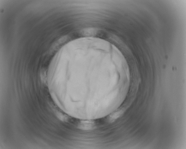 X0000083040240200702231937