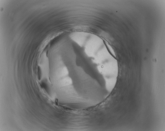 X0000083040241200702231937