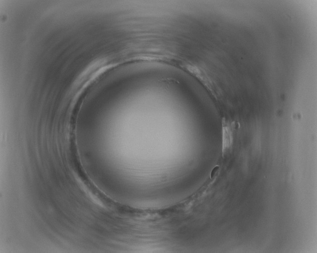 X0000083040243200702231937