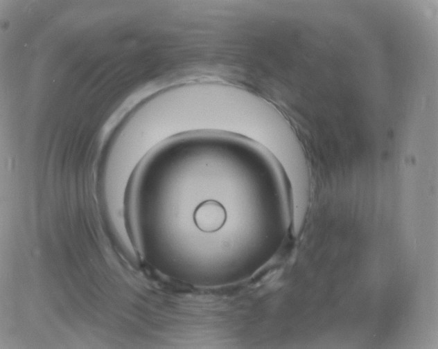 X0000083040244200702231937