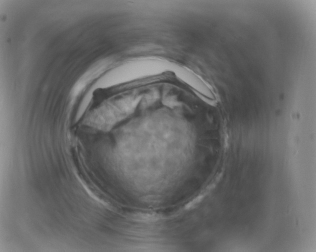 X0000083040245200702231937