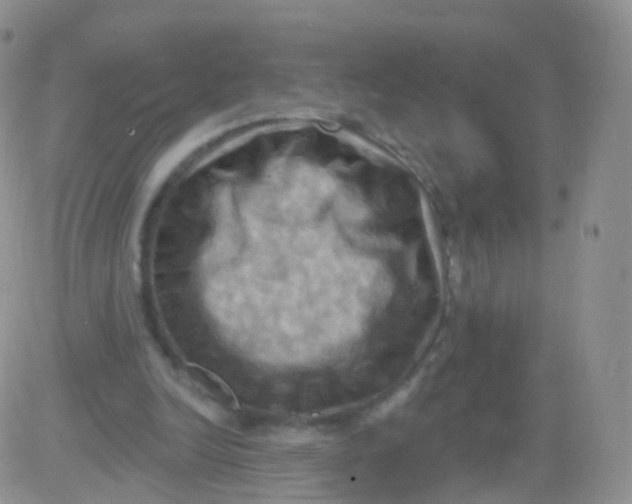 X0000083040246200702231937