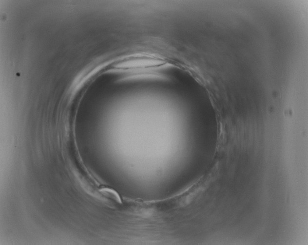 X0000083040247200702231937