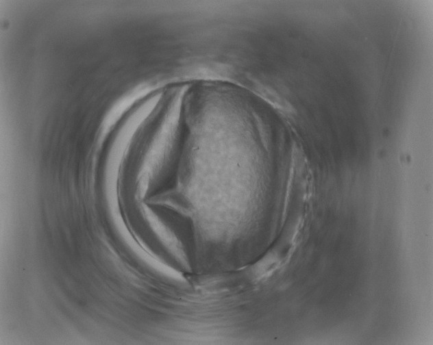 X0000083040248200702231937