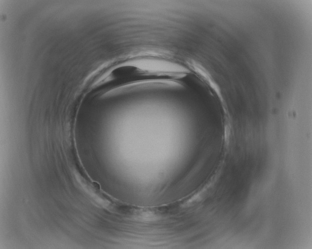 X0000083040249200702231937