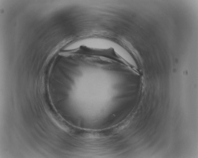 X0000083040250200702231937