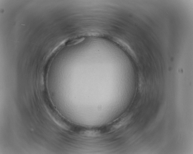 X0000083040251200702231937