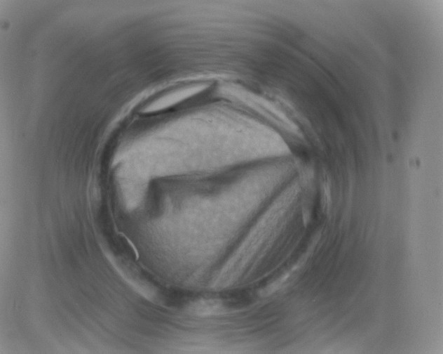 X0000083040252200702231937