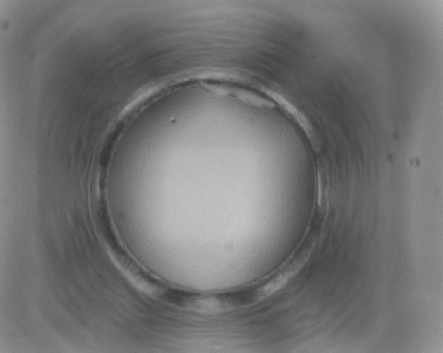 X0000083040253200702231937