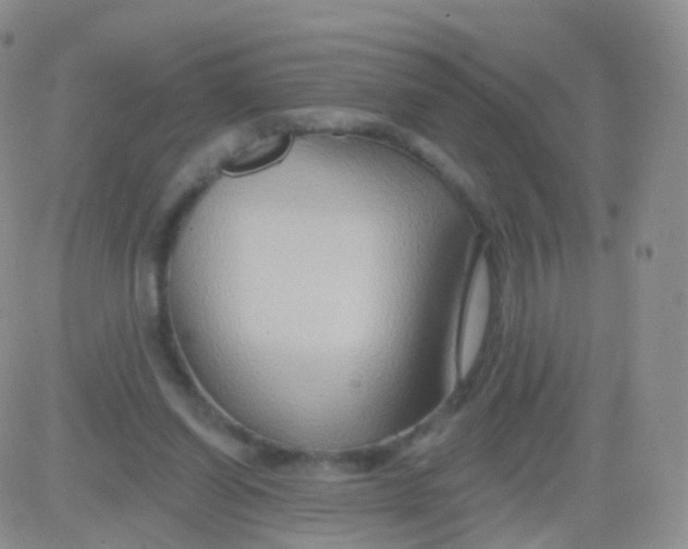 X0000083040254200702231937