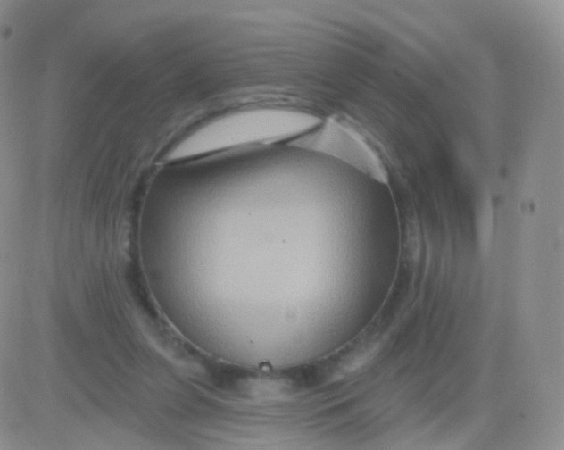 X0000083040255200702231937