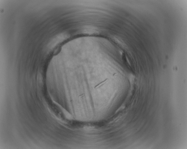 X0000083040256200702231937