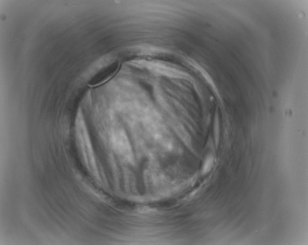 X0000083040257200702231937