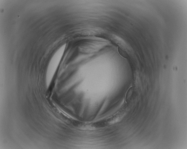 X0000083040258200702231937