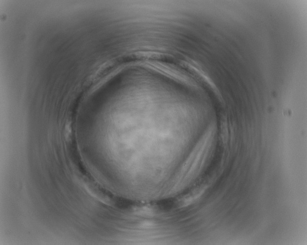 X0000083040259200702231937