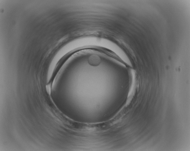 X0000083040260200702231937