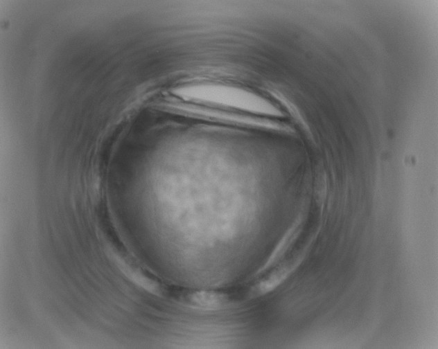 X0000083040261200702231937