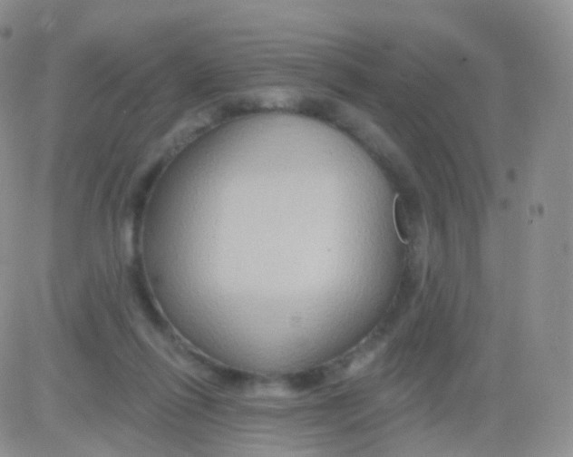 X0000083040262200702231937