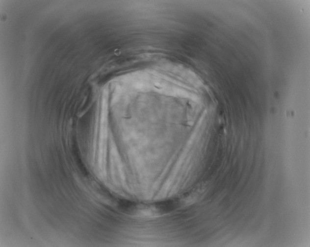 X0000083040263200702231937