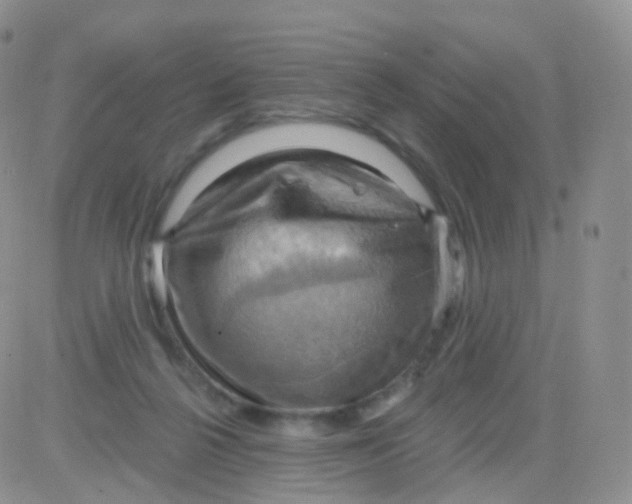 X0000083040264200702231937