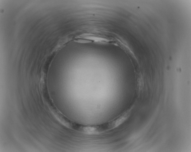 X0000083040265200702231937