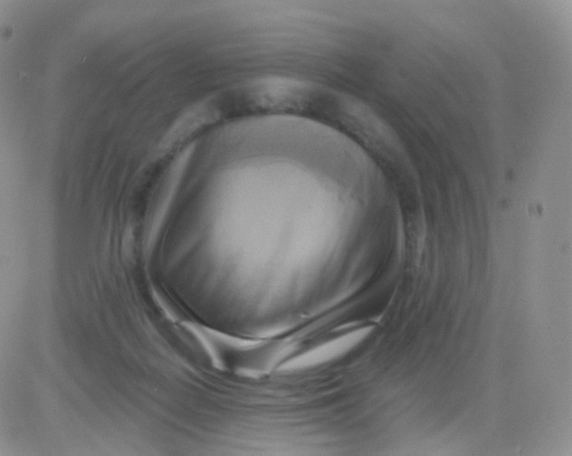 X0000083040266200702231937