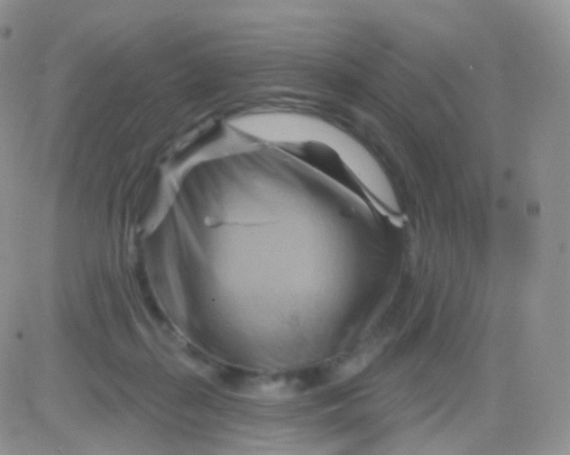 X0000083040267200702231937