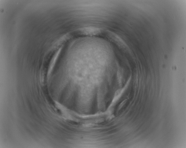 X0000083040268200702231937