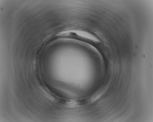 X0000083040269200702231937