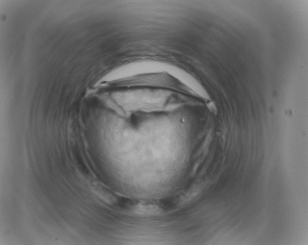 X0000083040270200702231937