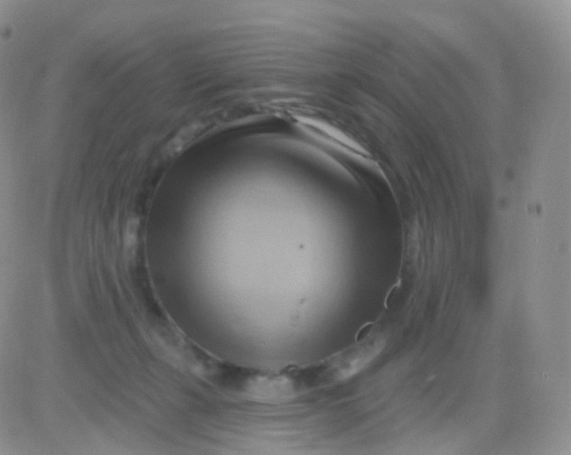 X0000083040271200702231937