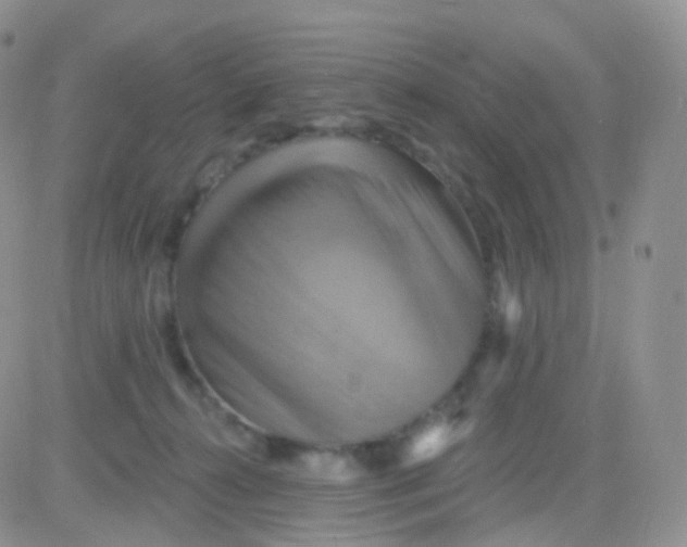 X0000083040272200702231937